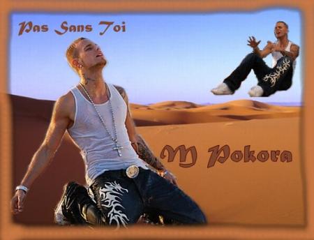 pas sans toi
